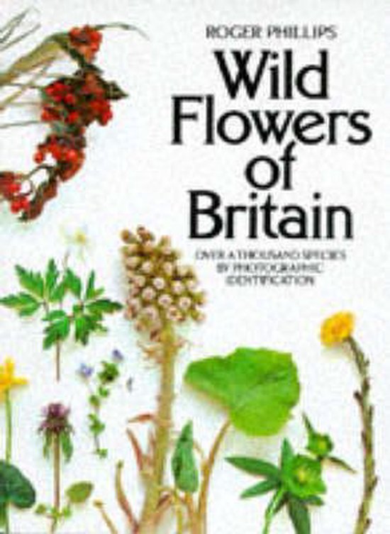 Wild Flowers of Britain