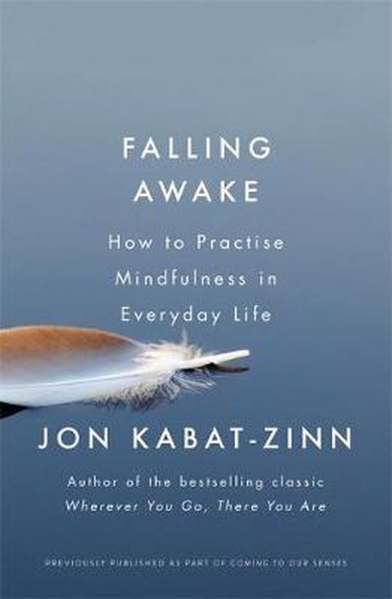 Falling Awake How to Practice Mindfulness in Everyday Life Coming to Our Senses Part 2