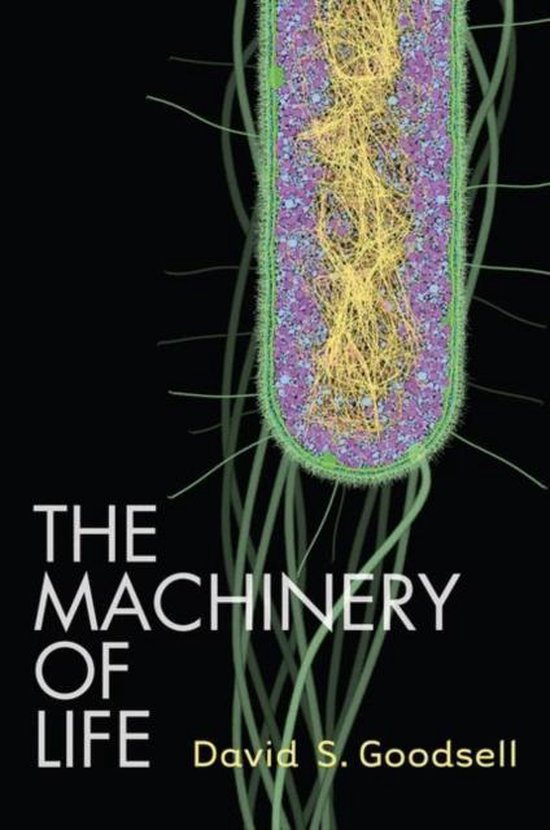 Machinery Of Life