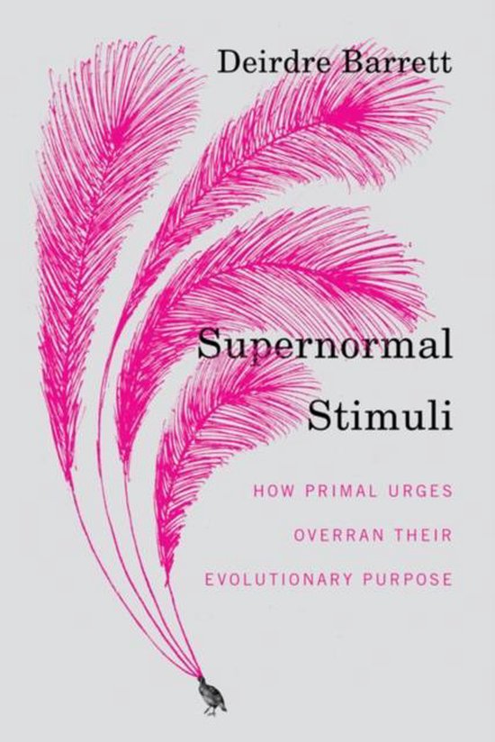 Supernormal Stimuli