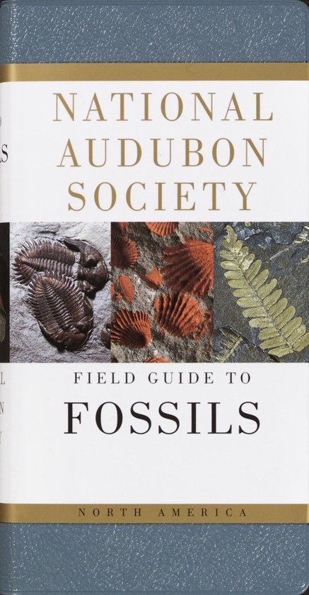 National Audubon Society Field Guide to North American Fossils