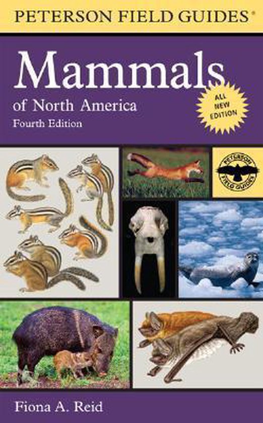 Peterson Field Guide To Mammals Of North America