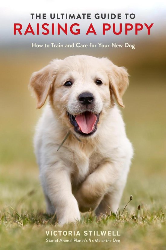 The Ultimate Guide to Raising a Puppy How to Train and Care for Your New Dog