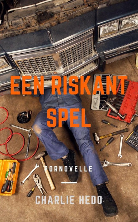 Een Riskant Spel