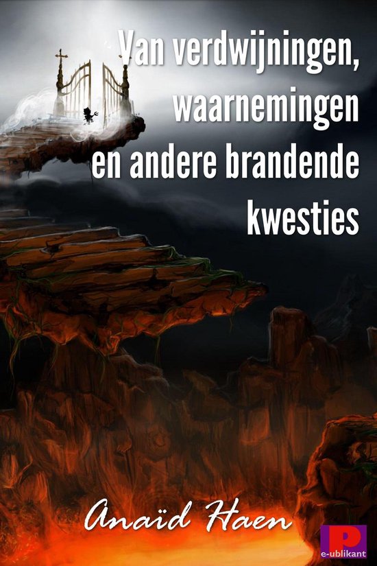 Van verdwijningen, waarnemingen en andere brandende kwesties