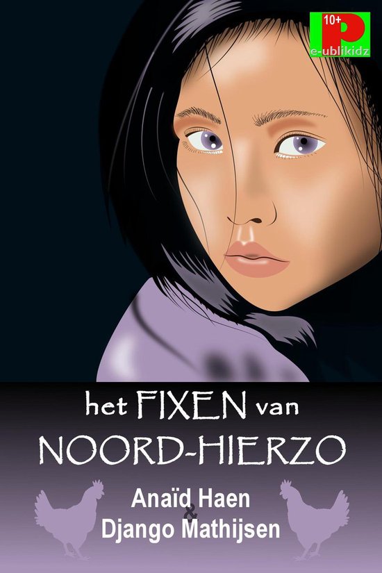 Het fixen van Noord-Hierzo