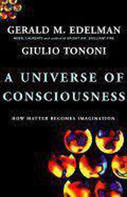 A Universe of Consciousness