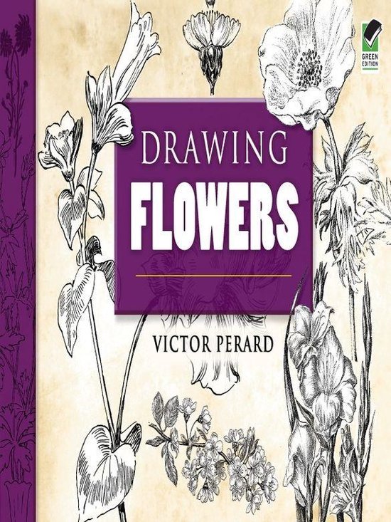 Drawing Flowers