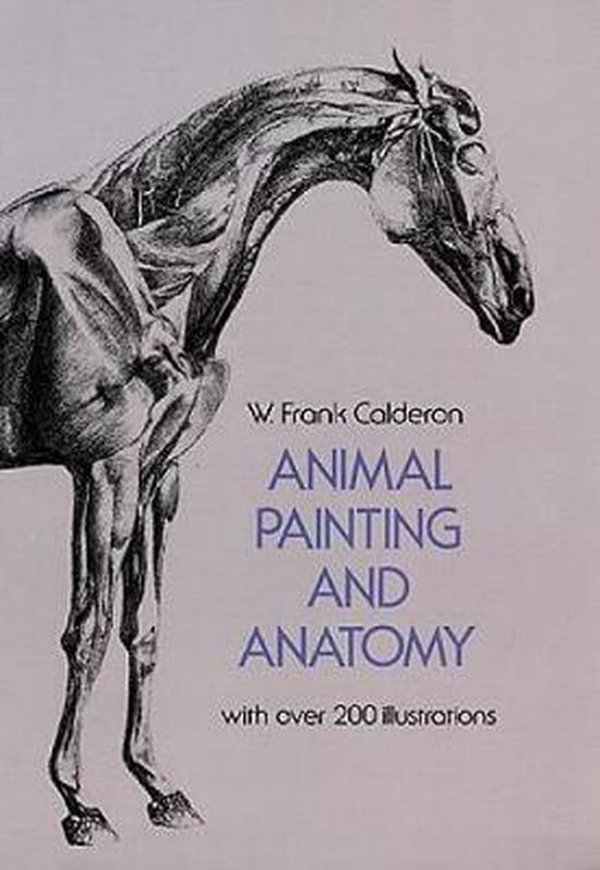 Animal Painting and Anatomy