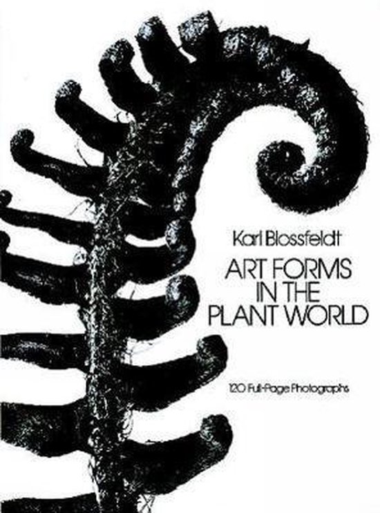 Art Forms In The Plant World