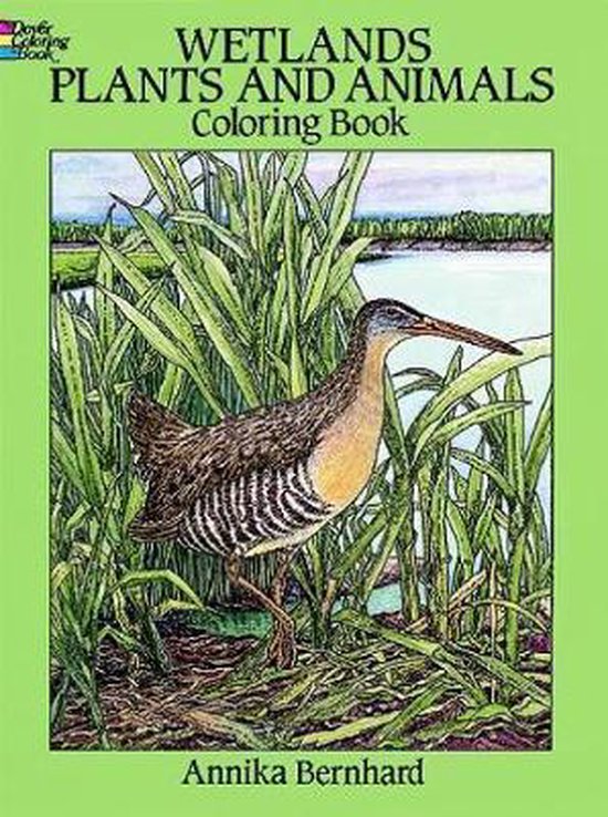 Wetlands Plants And Animals Colouring Book