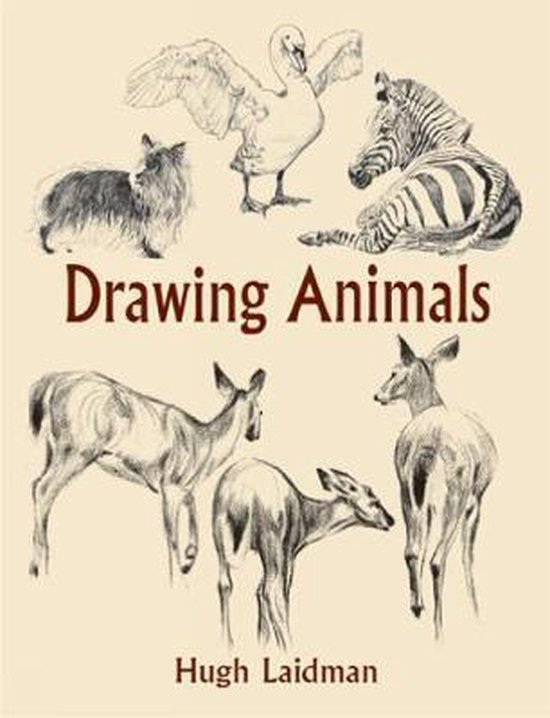 Drawing Animals