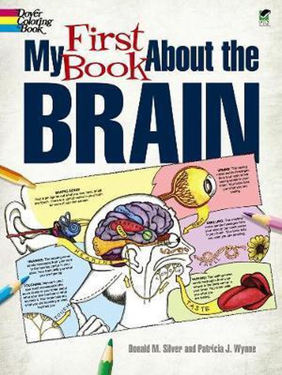 My First Book About The Brain