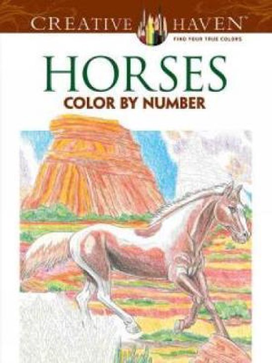 Horses Color by Number Coloring Book