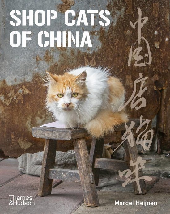 Heijnen, M: Shop Cats of China