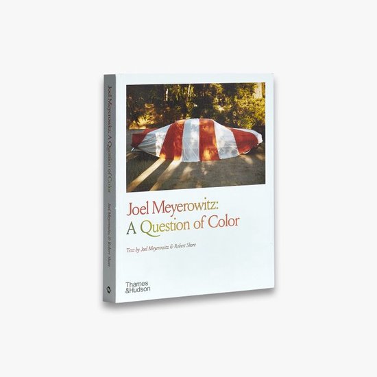 Joel Meyerowitz: A Question of Color