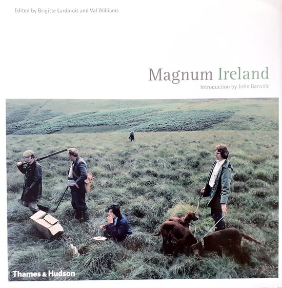 Magnum Ireland