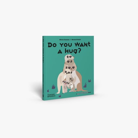 A Flip Flap Pop Up Book- Do You Want a Hug?