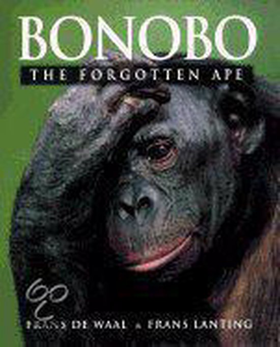 Bonobo