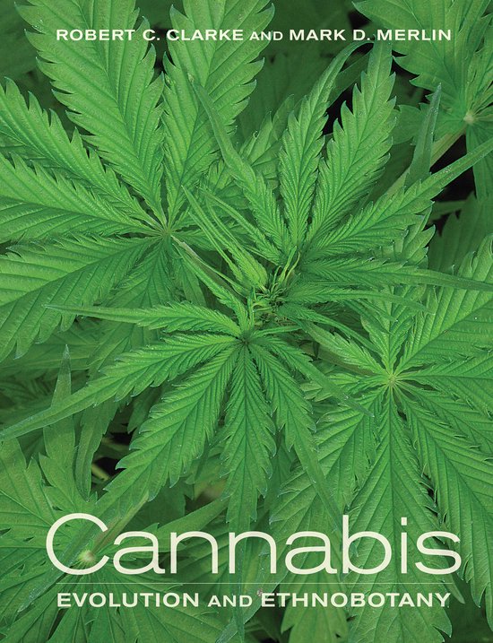 Cannabis