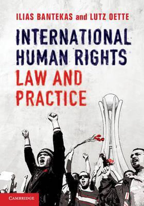 International Human Rights Law And Practice