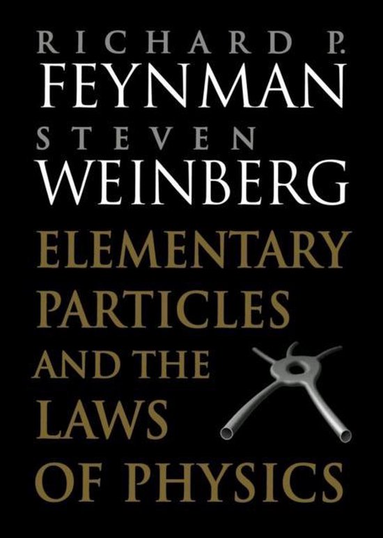 Elementary Particles and the Laws of Physics