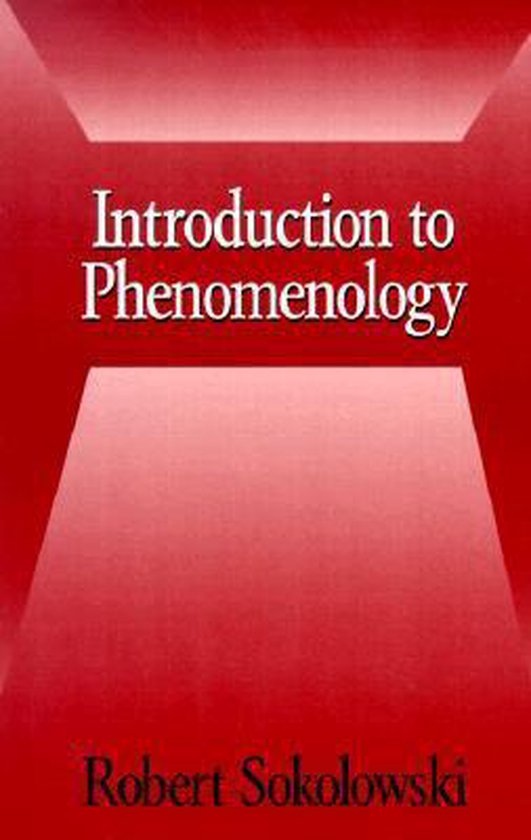 Introduction to Phenomenology