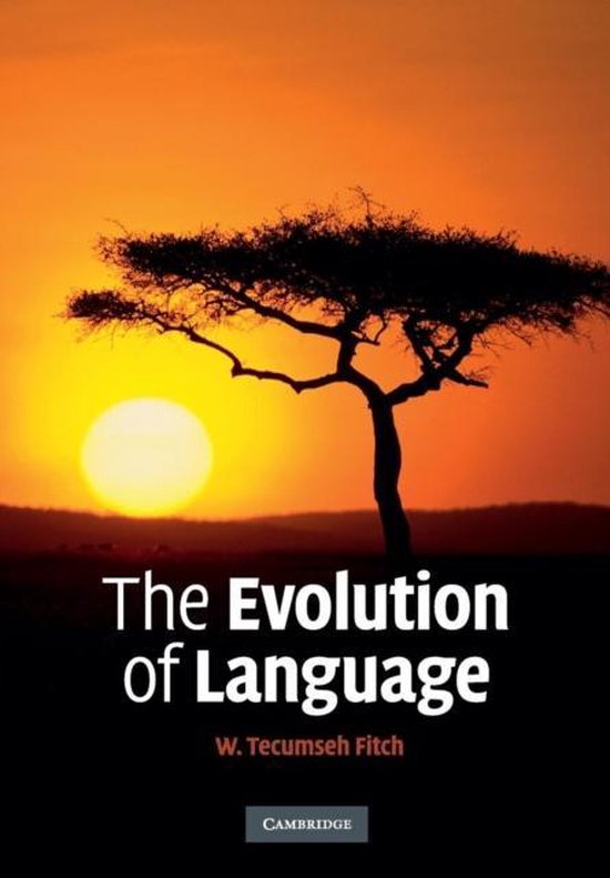 Evolution Of Language