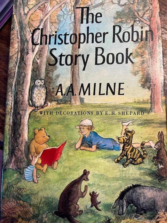 Christopher Robin Story Book