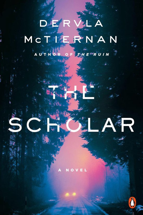 A Cormac Reilly Mystery 2 - The Scholar