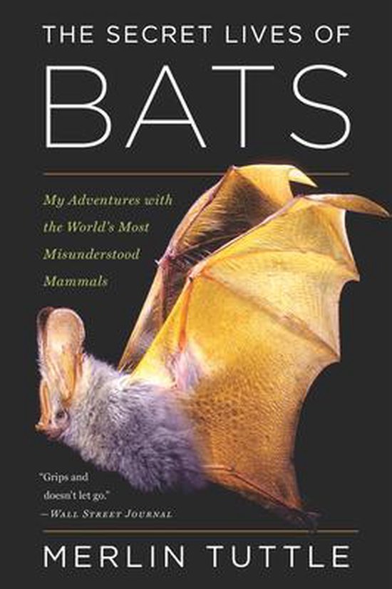 The Secret Lives of Bats