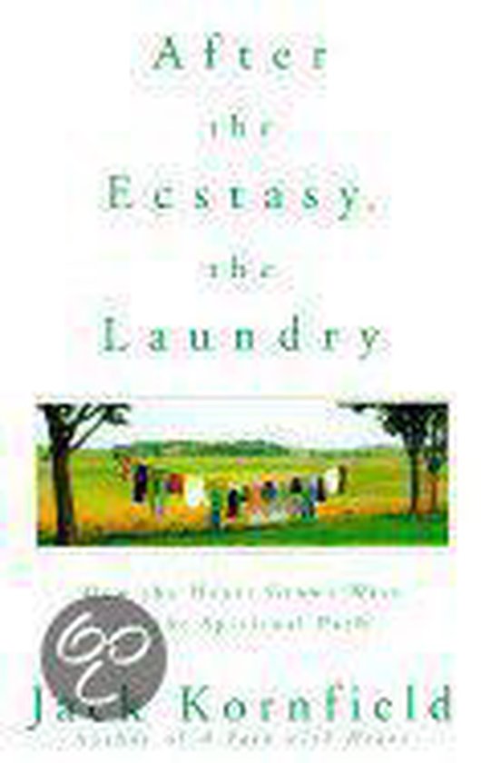 After the Ecstasy, the Laundry