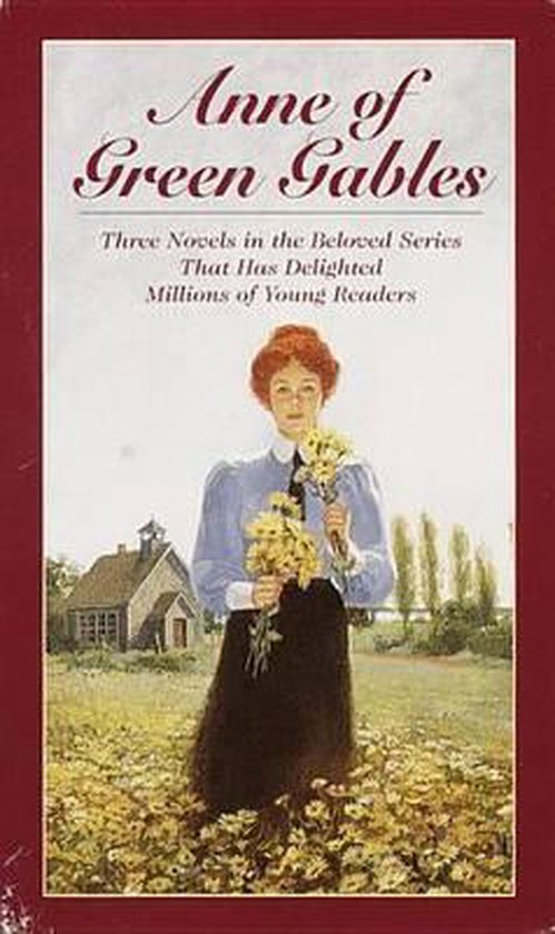 Anne of Green Gables, 3Book Box Set, Volume I Anne of Avonlea Anne of the Island Anne of Green Gables v1 Boxed Set