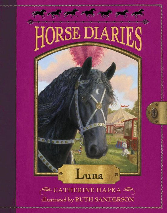 Horse Diaries 12 - Horse Diaries #12: Luna