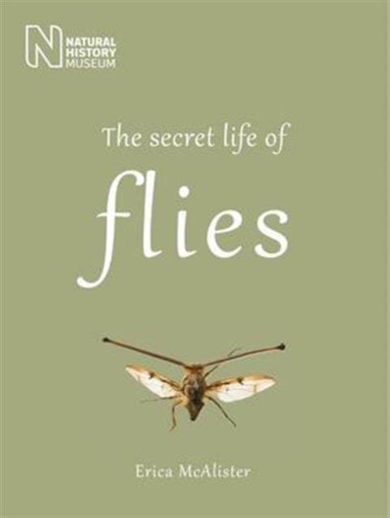 The Secret Life of Flies