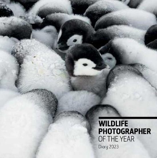 Wildlife Photographer of the Year