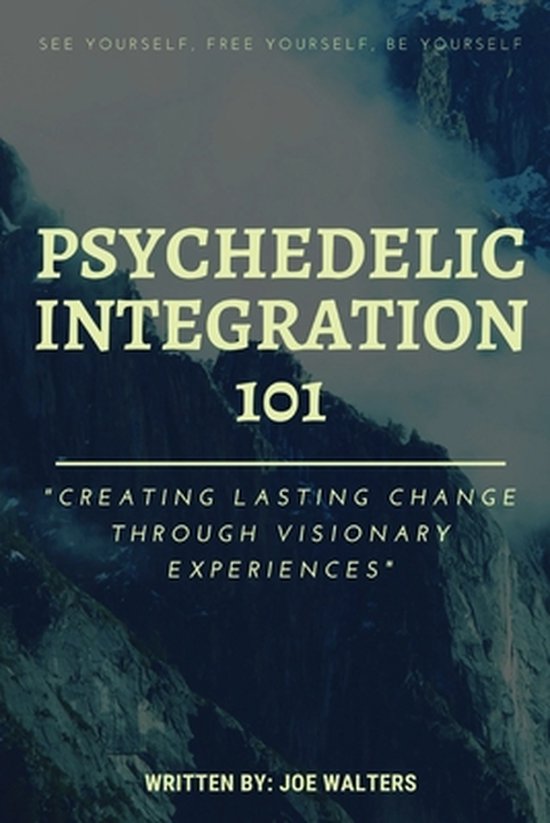 Psychedelic Integration 101