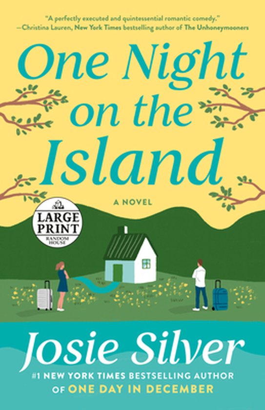 One Night on the Island