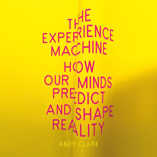 The Experience Machine