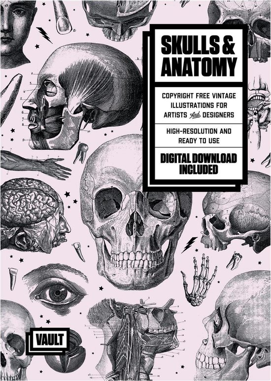 Skulls & Anatomy