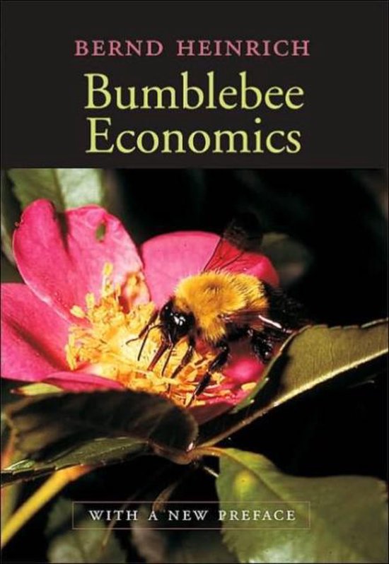 Bumblebee Economics