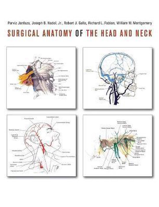 Surgical Anatomy of the Head and Neck