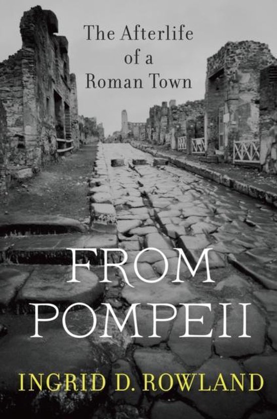 ISBN From Pompeii: The Afterlife of a Roman Town, histoire, Anglais, 352 pages