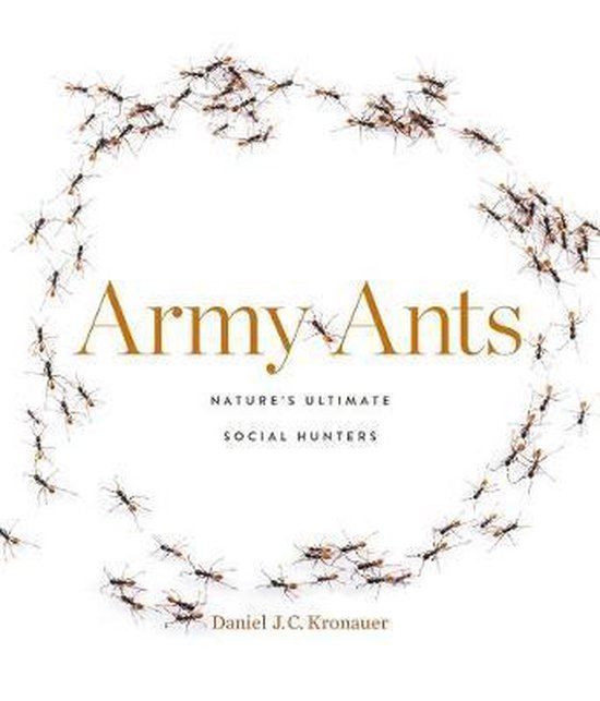 Army Ants – Nature′s Ultimate Social Hunters