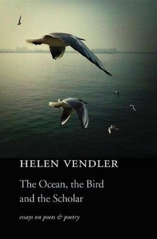 The Ocean the Bird and the Scholar
