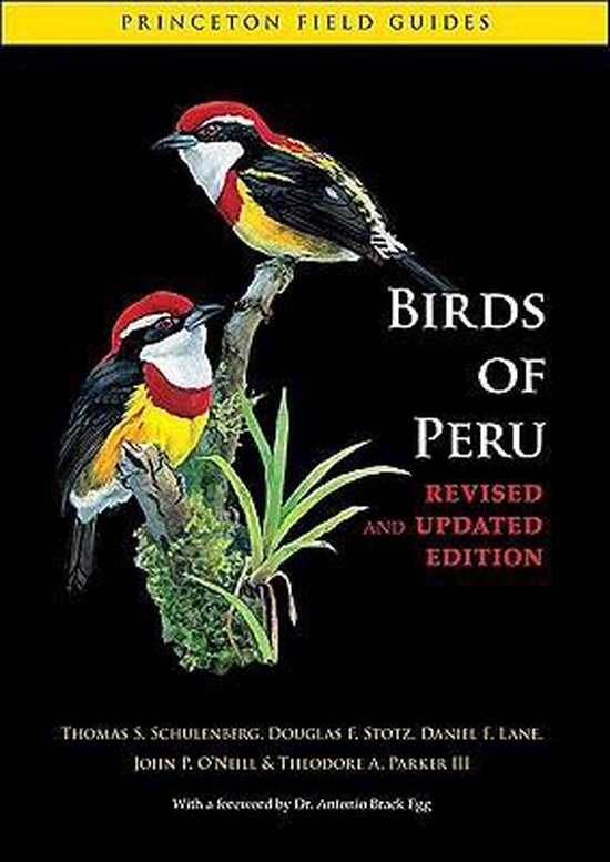 Schulenberg, T: Birds of Peru