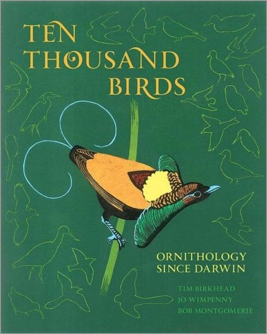 Ten Thousand Birds