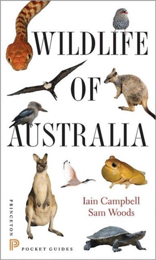 Wildlife Of Australia