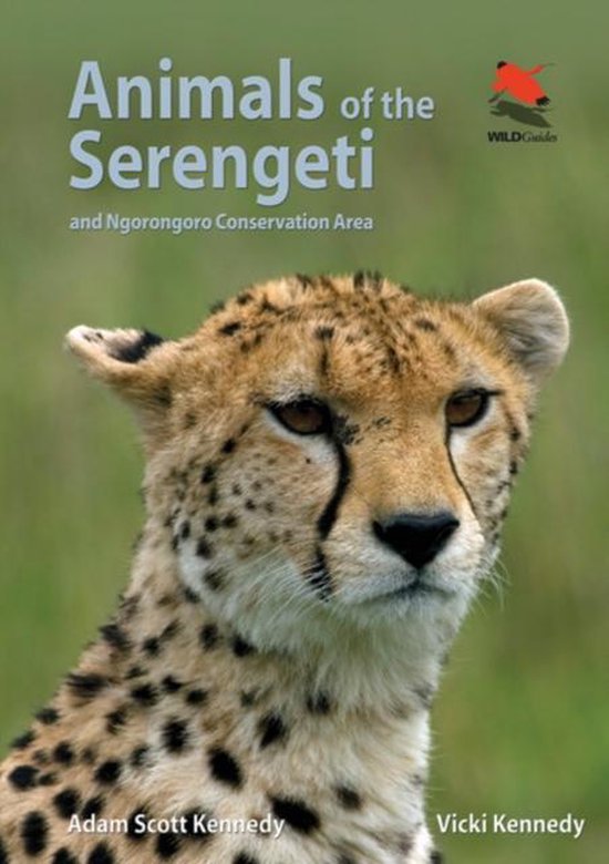 Animals Of The Serengeti