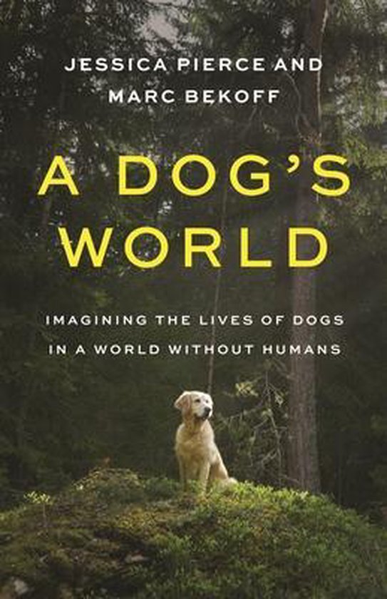 A Dog's World